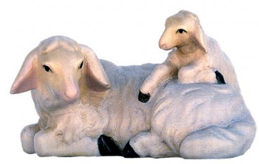 Sheep with Lamb for Nativity
