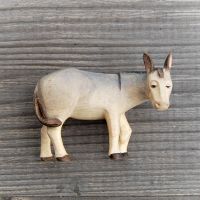 Donkey for Nativity
