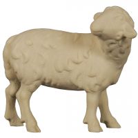 Stojaca ovečka pozerajúca dozadu drevená soška figúrka zvieratá do Betlehema