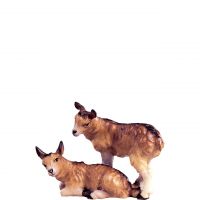 Kozliatka pre betlehem - farmarský