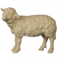 Stojaca ovečka pozerajúca doľava drevená soška figúrka zvieratá do Betlehema