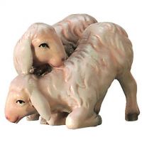 Pár jahniatok pre betlehem - Kráľovský