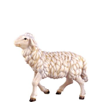 Pasúca sa ovečka - dolomitský
