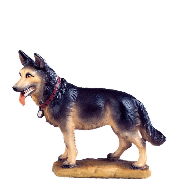 Ovčiarský pes - klasický