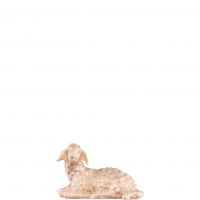 Ležiace jahňa - dolomitský