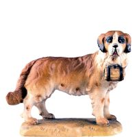 Bernardín pes - klasický