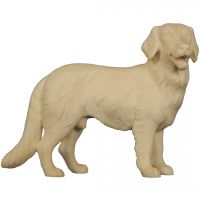 Zlatý retriever drevená soška figúrka zvieratá do Betlehema