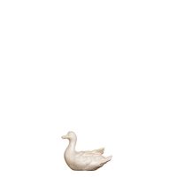 Plávajúca kačica vľavo  pre betlehem - Jeruzalem