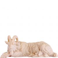 Ležiaca koza - klasický