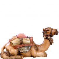 Ležiaca ťava - klasický