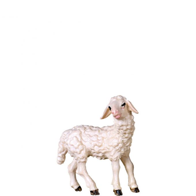 Stojace jahňa - klasický