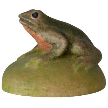 Žaba na kameni