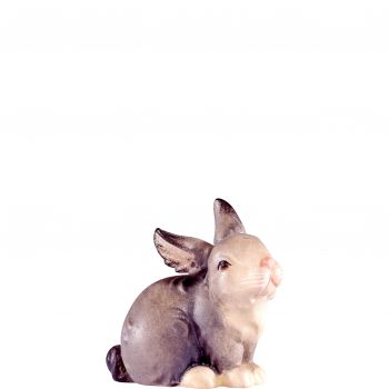 Sivý sediaci zajac pre betlehem - Artis