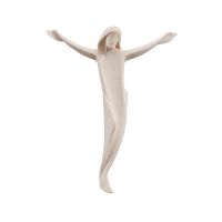 Drevený korpus moderný