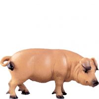 Prasiatko pre betlehem - dolomitský