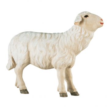 Ovečka pred pastierom drevená soška figúrka zvieratá do Betlehema