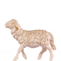 Pasúca sa ovečka - dolomitský