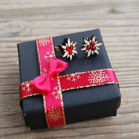 Malé drevené náušnice - Plesnivec