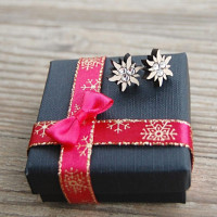 Malé drevené náušnice - Plesnivec