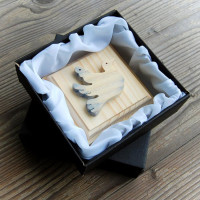 Drevená holubica k Birmovke - farebná