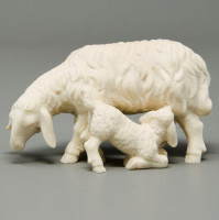 Sheep with Lamb - Baroque
