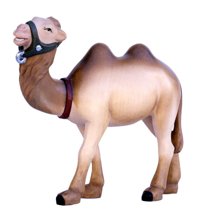 Ťava pre betlehem - Moderný