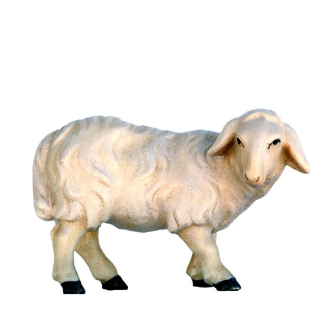 Nativity Animals - Sheep standing - Modern
