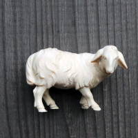 Nativity Animals - Sheep standing - Modern