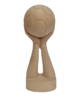 Futbalová trofej