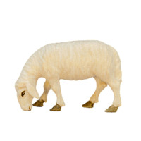 Nativity Animals - Grazing Sheep - Traditional