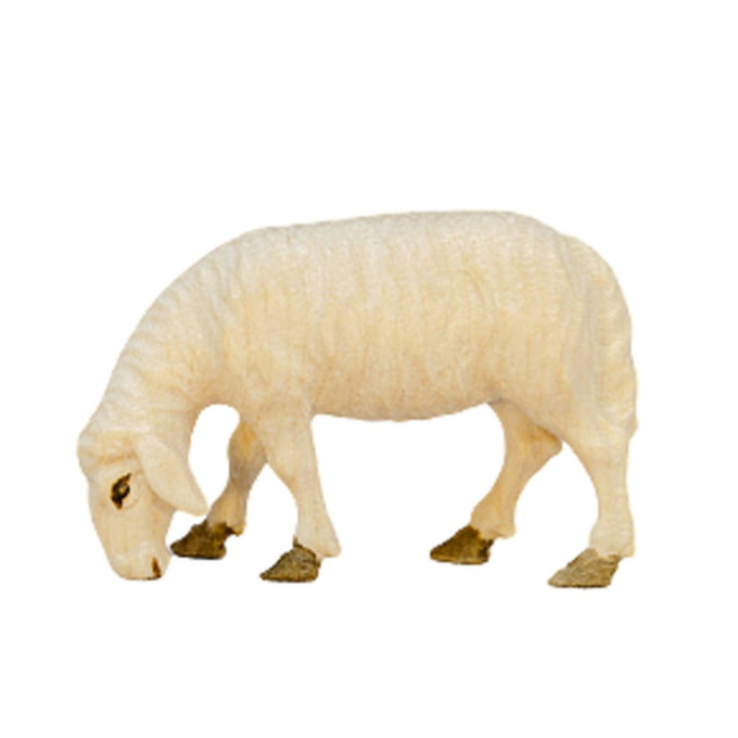 Nativity Animals - Grazing Sheep - Traditional