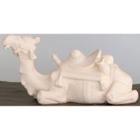 Resting Camel - Morning Star