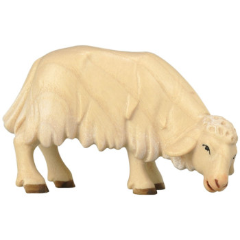 Grazing Sheep - Morning Star