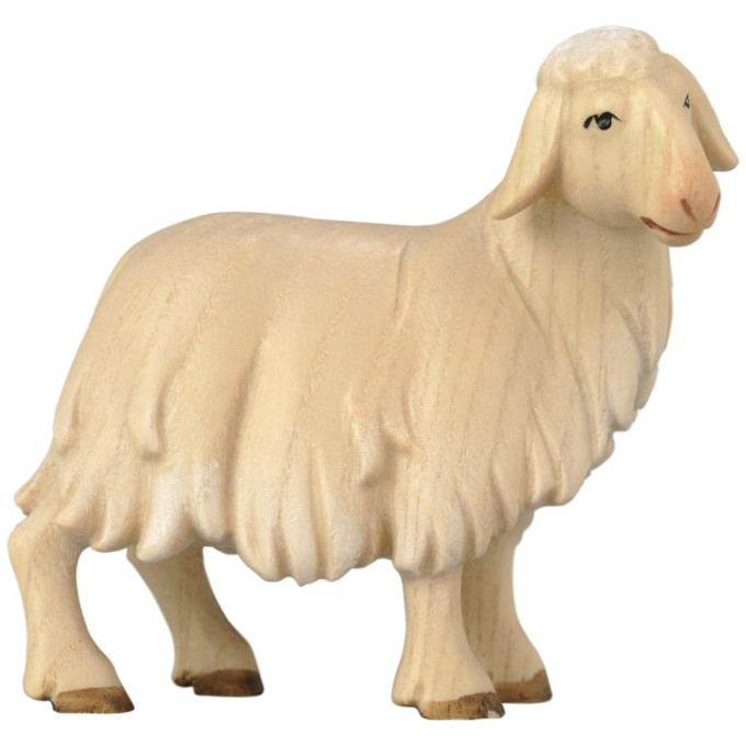 Standing Sheep - Morning Star