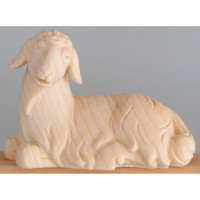 Resting Sheep - Morning Star