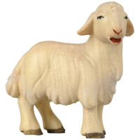 Standing Lamb - Morning Star