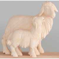Sheep with lamb - Morning Star