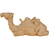 Resting Camel - Folk