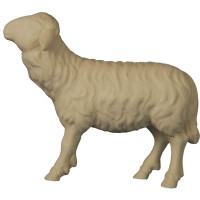 Sheep towards  Shepherd - straight - Folk