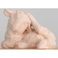 Lamb scratching itself - Folk