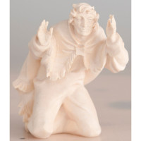 Shepherd wondering Tyrolean