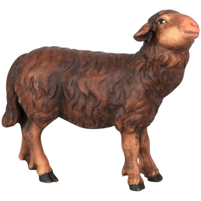 Black sheep standing - Folk