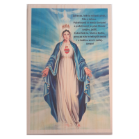 Virgin Mary with prayer wooden picture