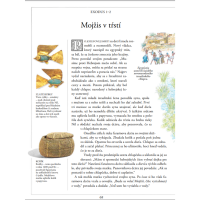 Ilustrovaná Biblia (Illustrated Bible), Selina Hastingsová and Eric Thomas