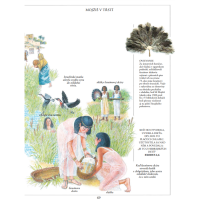 Ilustrovaná Biblia (Illustrated Bible), Selina Hastingsová and Eric Thomas