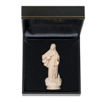 Our Lady of Medjugorje church & case