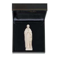 St. Peregrine with case