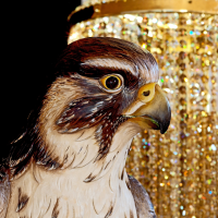 Spektrum skywatcher