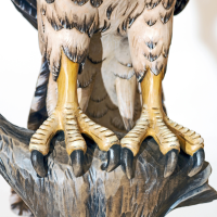 Spektrum skywatcher