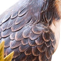 Spektrum skywatcher